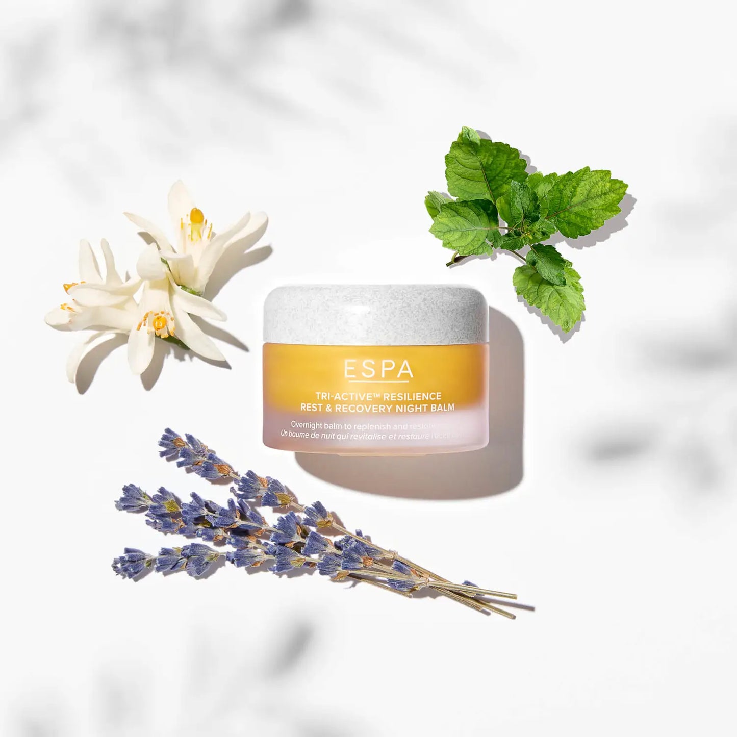 ESPA Tri-Active Resilience Rest and Recovery Night Balm